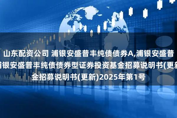 山东配资公司 浦银安盛普丰纯债债券A,浦银安盛普丰纯债债券C: 浦银安盛普丰纯债债券型证券投资基金招募说明书(更新)2025年第1号