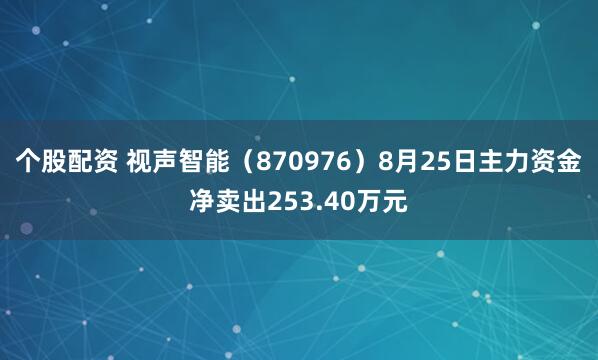 个股配资 视声智能（870976）8月25日主力资金净卖出253.40万元