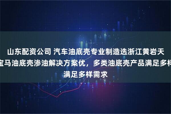 山东配资公司 汽车油底壳专业制造选浙江黄岩天盛,宝马油底壳渗油解决方案优,多类油底壳产品满足多样需求